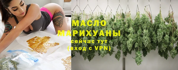 мдпв Новозыбков