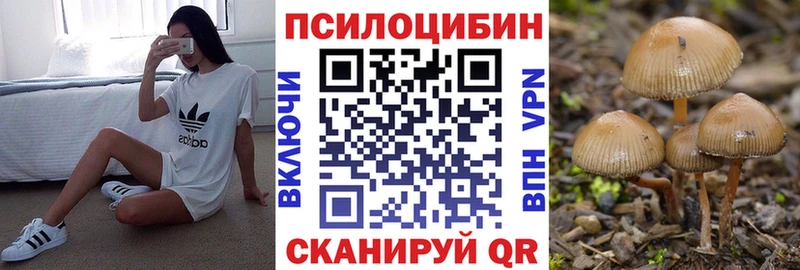 Псилоцибиновые грибы Psilocybe  цена   Мценск 